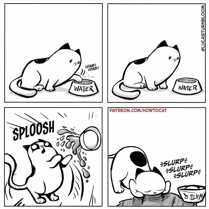 Black and white comic strip showing a cat refusing water, spilling it, then happily drinking from a puddle, relatable cat comics.