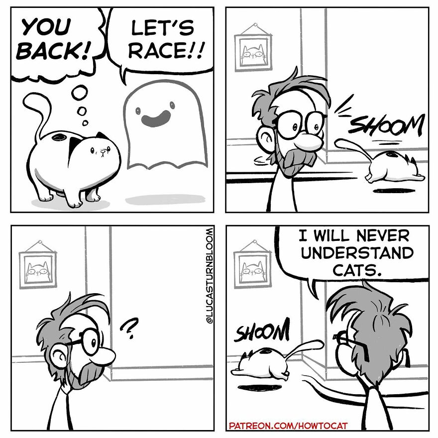 New Comics Illustrating The Funny Life Of A Kitten Who Found A New Home