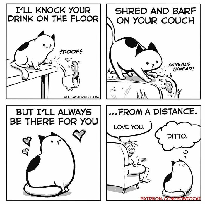 Black and white relatable cat comics showing typical mischievous and affectionate cat behavior by the artist Lucas Turnbloom.