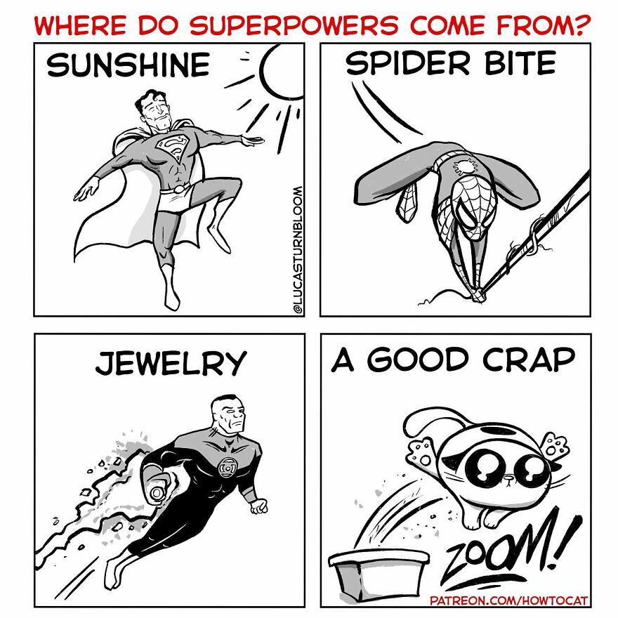 New Comics Illustrating The Funny Life Of A Kitten Who Found A New Home