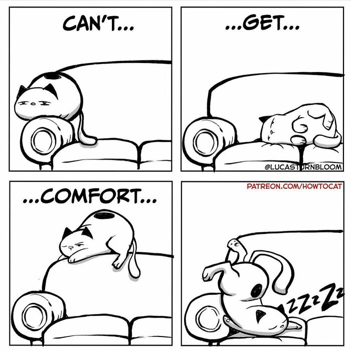 Black and white comic panels showing a cat struggling to get comfortable on a couch, relatable cat comic art.