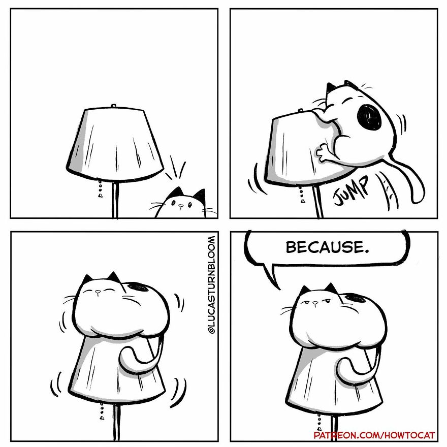 New Comics Illustrating The Funny Life Of A Kitten Who Found A New Home