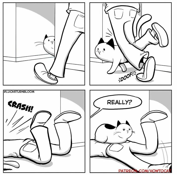 Comic strip showing a cat causing a person to trip and fall, illustrating relatable cat behavior in funny comics.