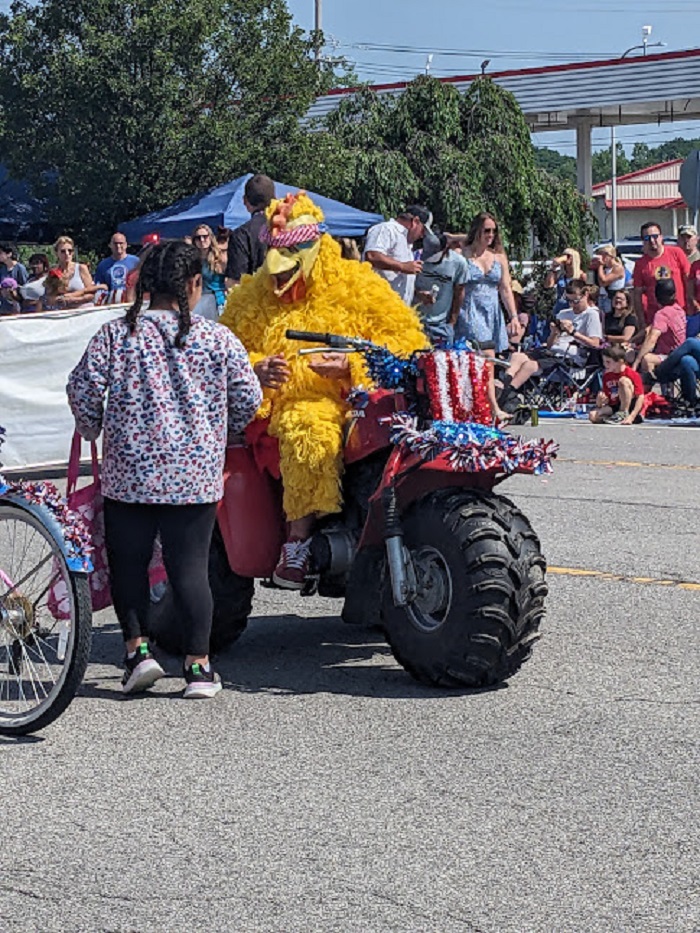 Not Sure Why The Chicken Crosses The Road, But He Does It In Style
