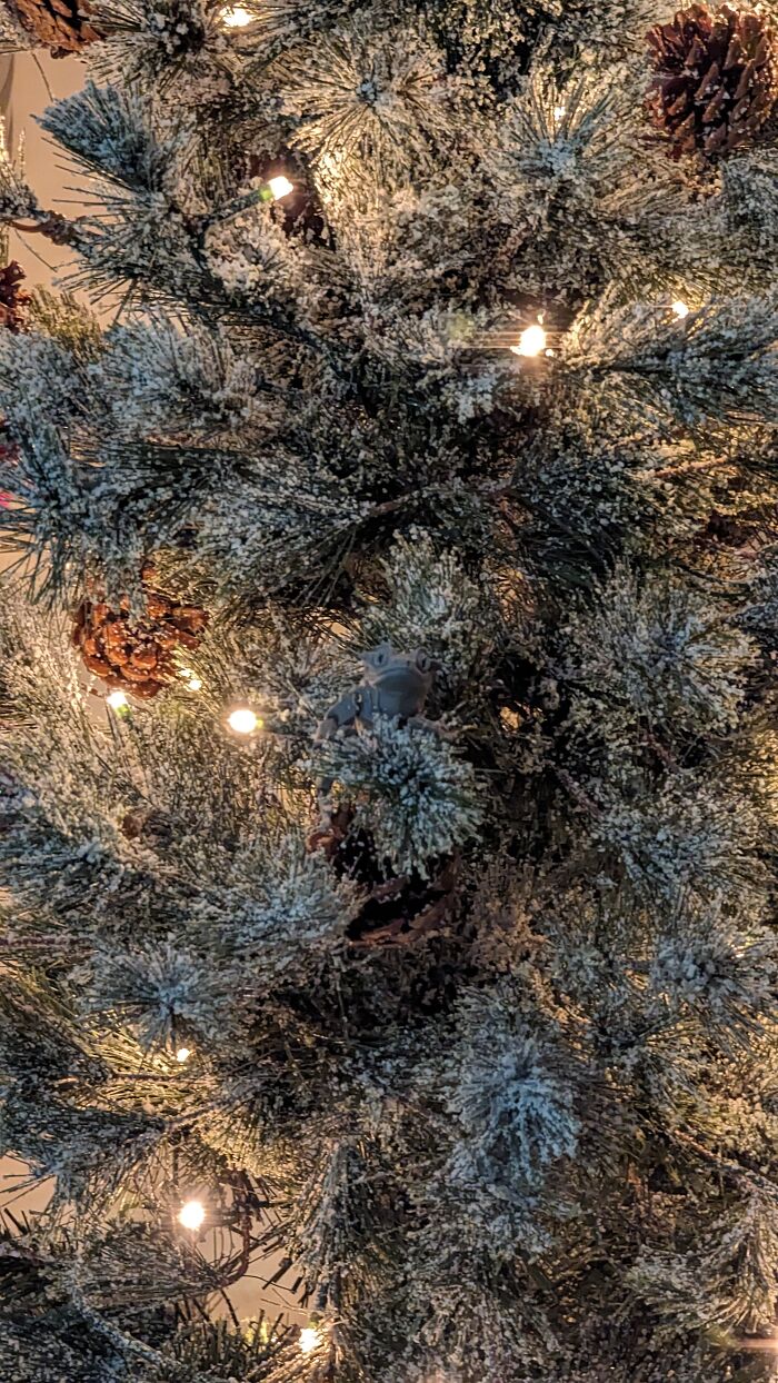 This May Sound Really Weird, But My Tree Has A Small 3D Printed Crested Gecko In It. Why? Well, This Year I Lost One Of My Cresties, Paul, Who Was Universally Loved By Everyone Who Met Him, And One Of His Favorite Things At This Time Of Year Was Sitting In The Christmas Tree And Watching TV