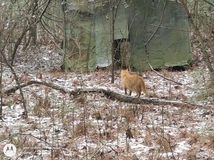 Punkin In The Snow. Don't Know Where You Are, Hope To See You Again