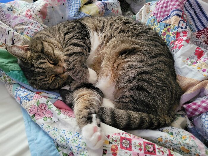 Definitely The One Of My Good Girl