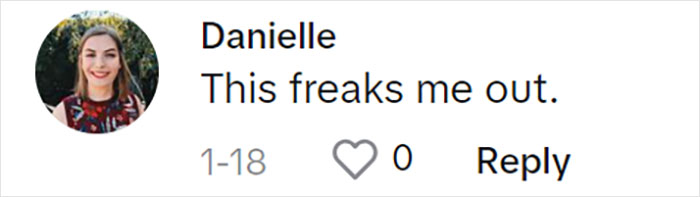 Comment by Danielle reacting to &ldquo;Home Alone&rdquo; mom's age revelation.