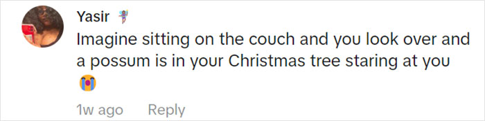 Jolly Wild Possum Discovered In Texas Woman&rsquo;s Christmas Tree After It Sneezes