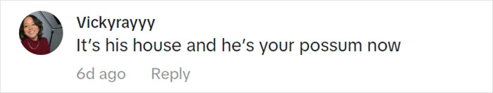 Jolly Wild Possum Discovered In Texas Woman&rsquo;s Christmas Tree After It Sneezes