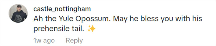 Jolly Wild Possum Discovered In Texas Woman&rsquo;s Christmas Tree After It Sneezes