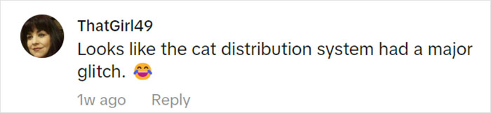 Jolly Wild Possum Discovered In Texas Woman&rsquo;s Christmas Tree After It Sneezes