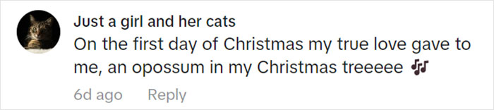 Jolly Wild Possum Discovered In Texas Woman&rsquo;s Christmas Tree After It Sneezes