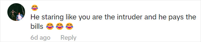 Jolly Wild Possum Discovered In Texas Woman&rsquo;s Christmas Tree After It Sneezes