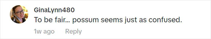 Jolly Wild Possum Discovered In Texas Woman&rsquo;s Christmas Tree After It Sneezes