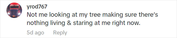 Jolly Wild Possum Discovered In Texas Woman&rsquo;s Christmas Tree After It Sneezes