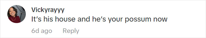 Jolly Wild Possum Discovered In Texas Woman&rsquo;s Christmas Tree After It Sneezes