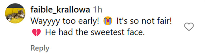 Brooklyn Nine-Nine Star Andre Braugher Passes Away At 61 Brooklyn Nine-Nine Star Andre Braugher Passes Away At 61
