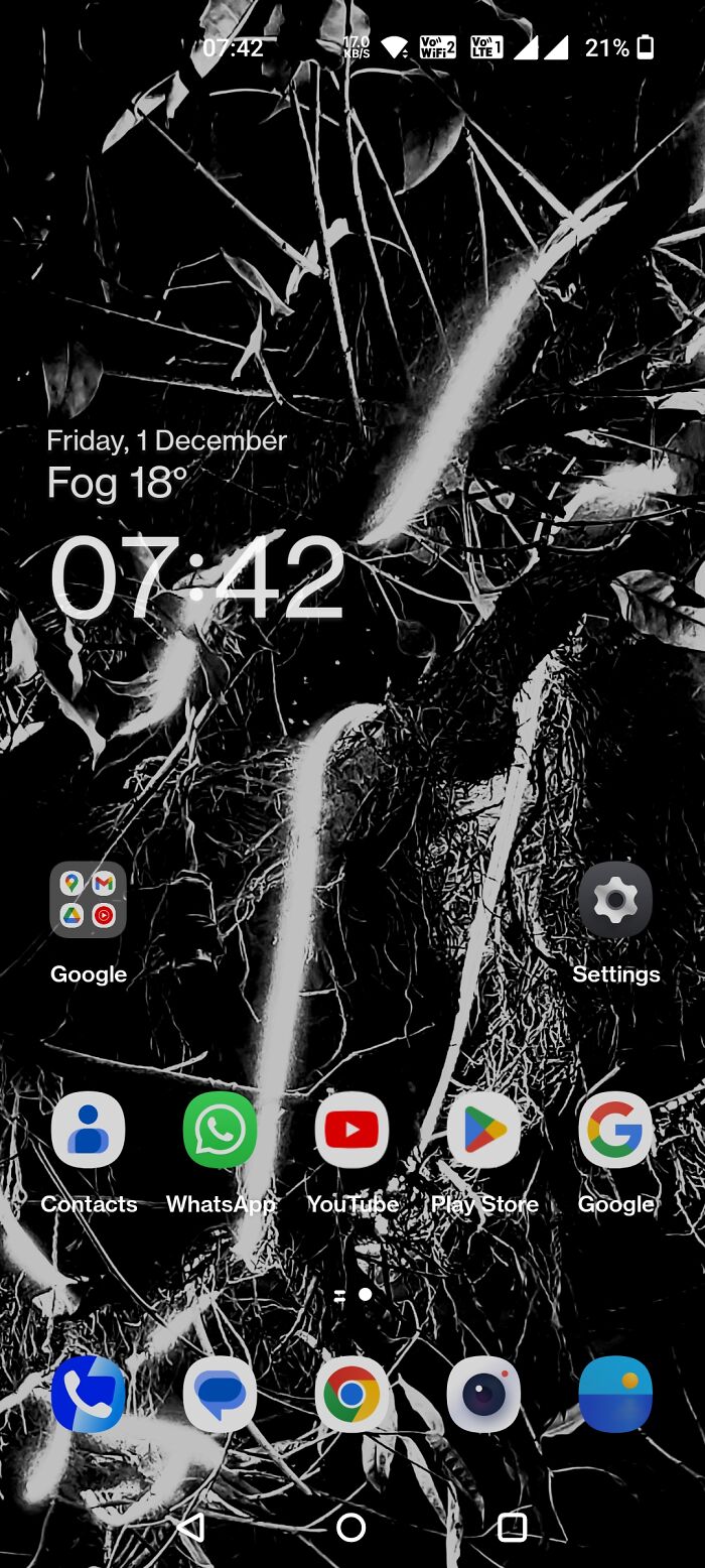 Snap Of A Tree After Some Edits