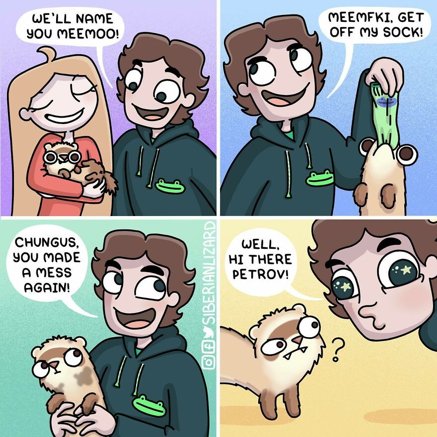 Siberian Artist Hilariously Illustrates Her Daily Life Routine With Her Two Ferrets (New Pics)