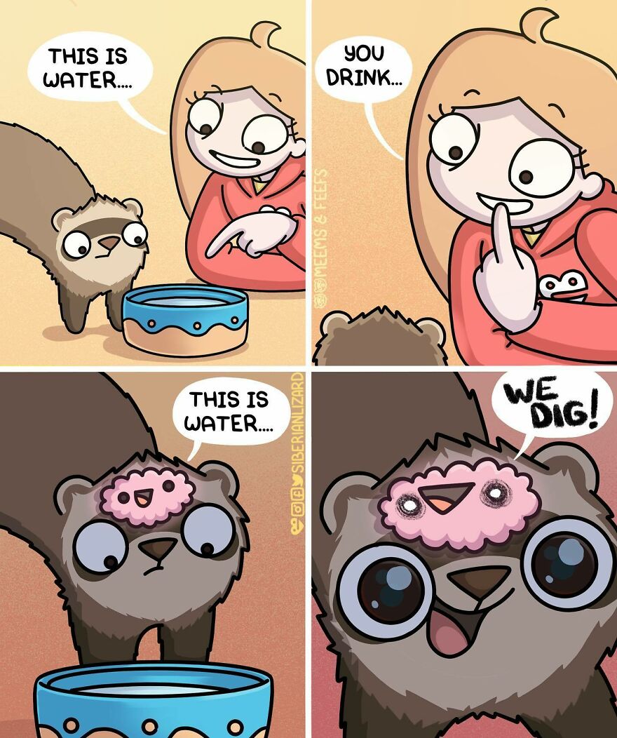 Siberian Artist Hilariously Illustrates Her Daily Life Routine With Her Two Ferrets (New Pics)