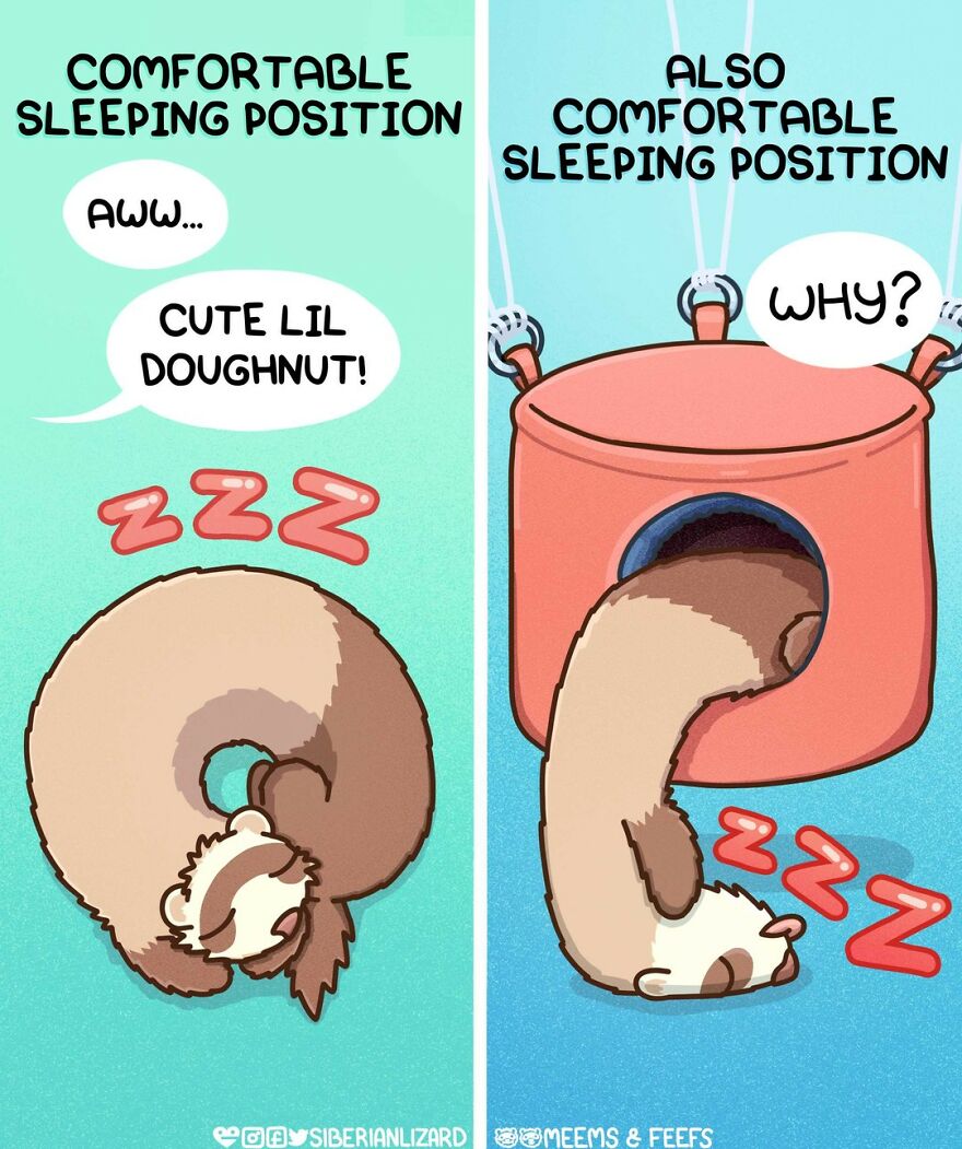 Siberian Artist Hilariously Illustrates Her Daily Life Routine With Her Two Ferrets (New Pics)