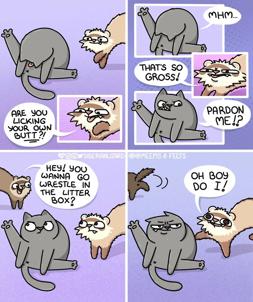 Siberian Artist Hilariously Illustrates Her Daily Life Routine With Her Two Ferrets (New Pics)