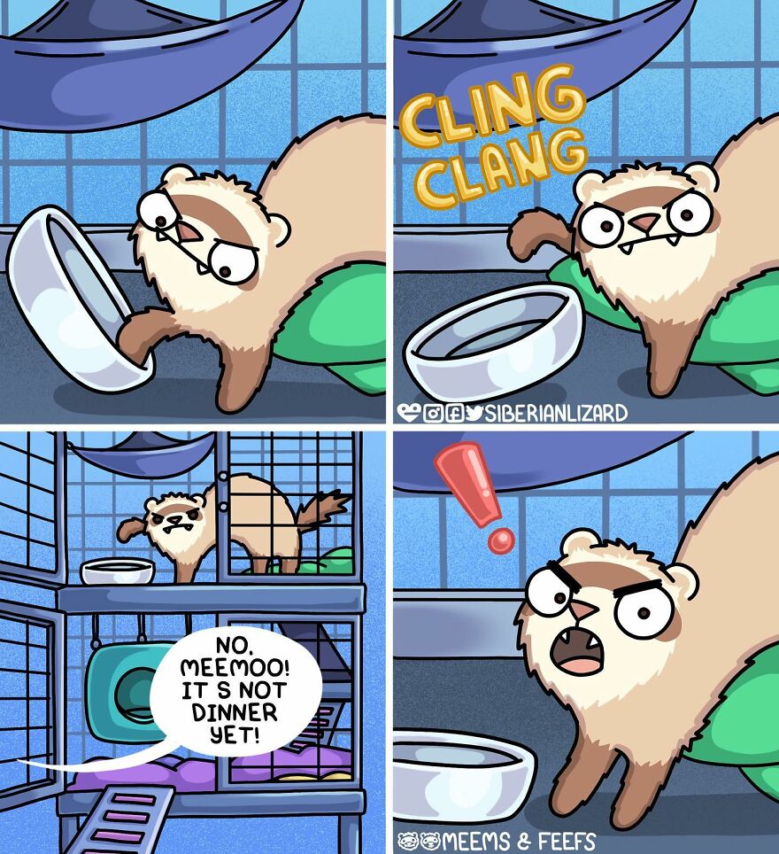 Siberian Artist Hilariously Illustrates Her Daily Life Routine With Her Two Ferrets (New Pics)