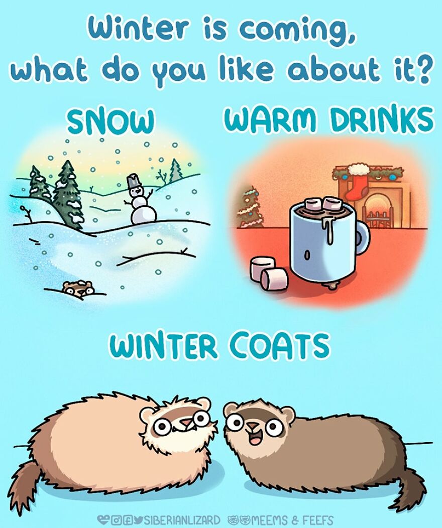 Siberian Artist Hilariously Illustrates Her Daily Life Routine With Her Two Ferrets (New Pics)