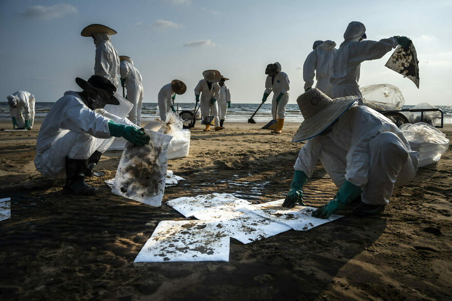 Conservation (Impact) Photographer Of The Year, 3rd Place Winner Sirachai Arunrugstichai
