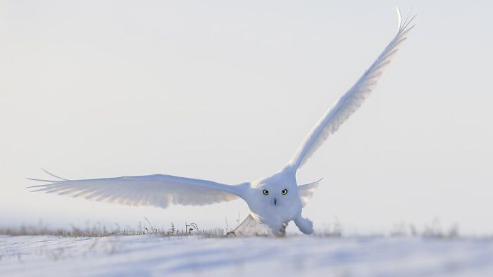 Phillip Chang, San Juan Capistrano, United States