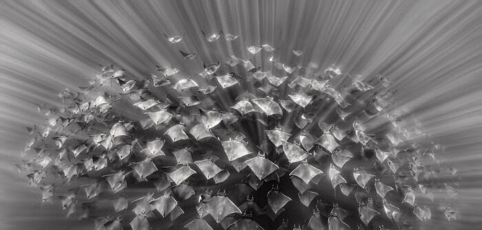 Martin Broen, New York, United States