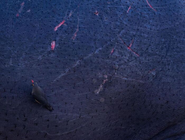 Jacha Potgieter, Betws-Y-Coed, United Kingdom