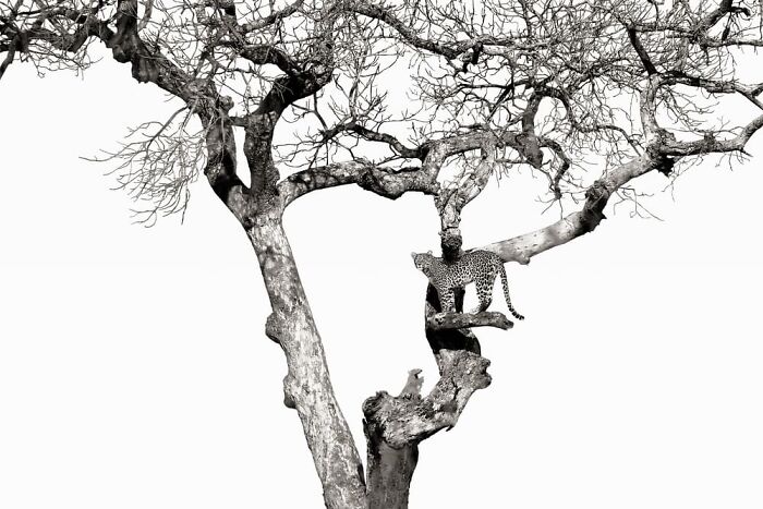 Rensche Mari Van Dyk, Centurion, South Africa