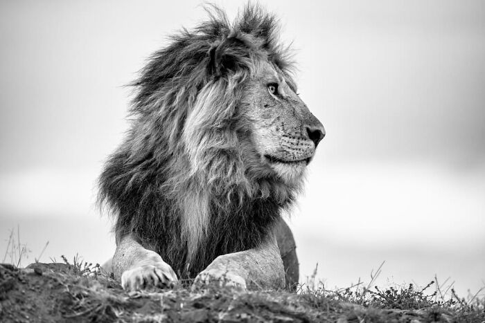 Alessandro Marena, Milan, Italy