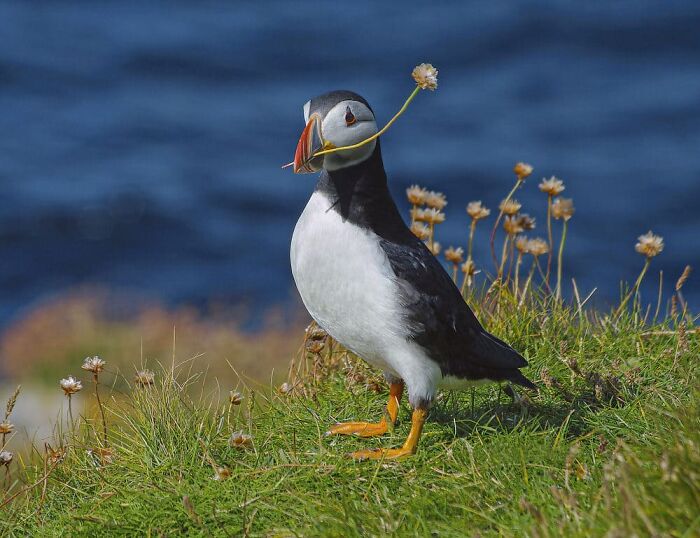 Antonella Papa, Rome, Italy