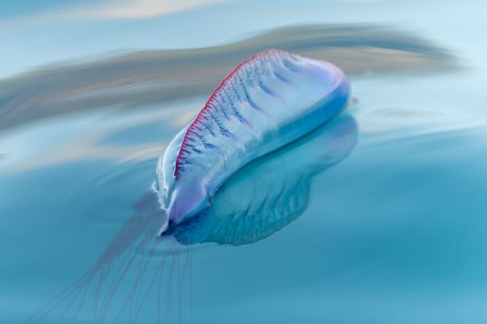 Bert Soehn, Rotterdam, Germany