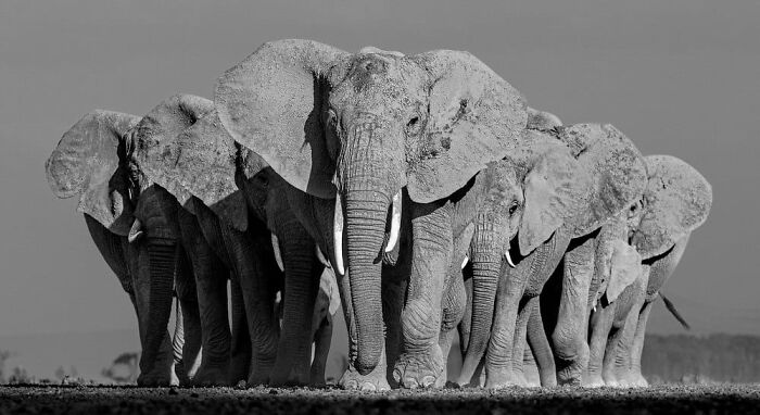 Lars Beusker, Oelde, Germany