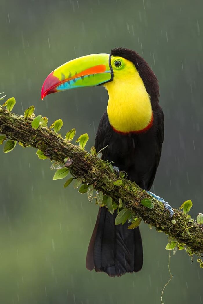 Christian Sanchez, San José, Costa Rica