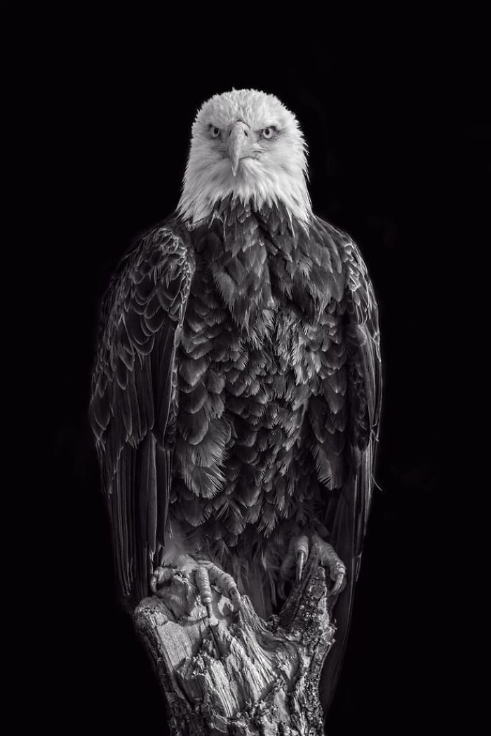 Sue Ratcliffe, Mississauga, Canada