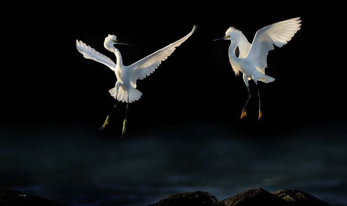 Tin Sang Chan, Scarborough, Canada