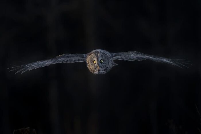 Tin Sang Chan, Scarborough, Canada