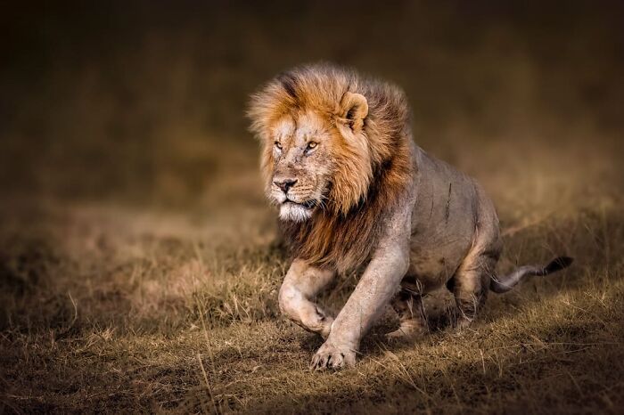 Monica L Corcuera, Mexico, Mexico