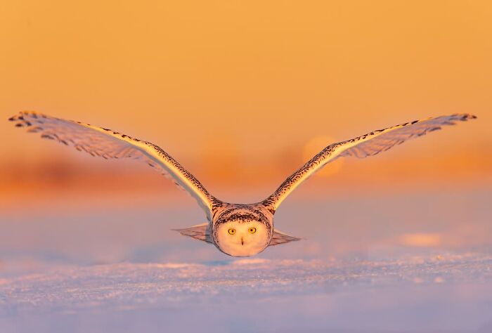 Christian Sanchez, Costa Rica