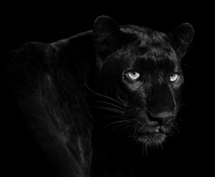 Lars Beusker, Germany