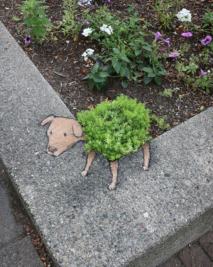 The Ephemeral Art Of Chalk. David Zinn Extracts Life From The Streets And Walls (New Pics)