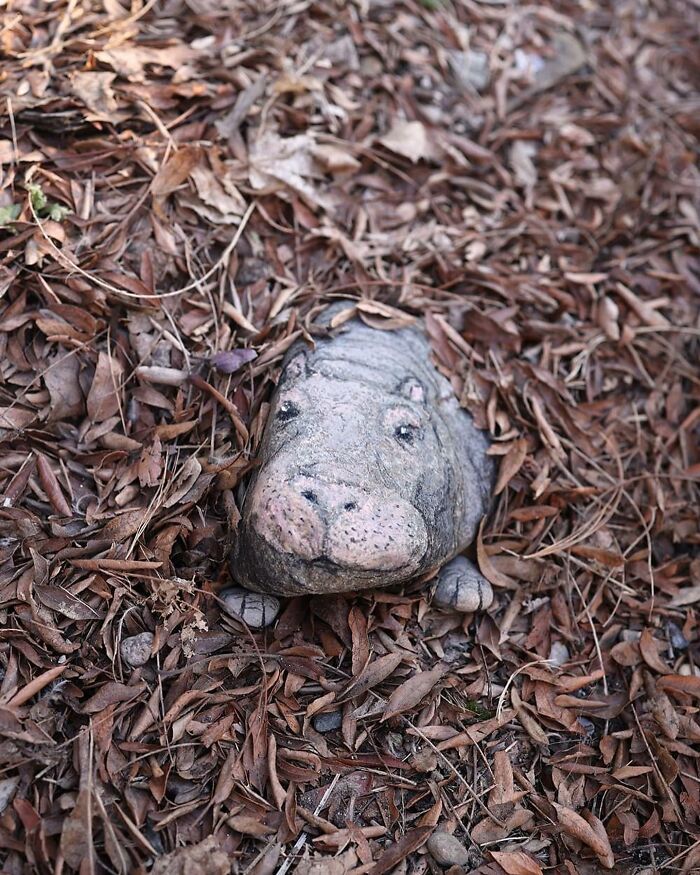 The Ephemeral Art Of Chalk. David Zinn Extracts Life From The Streets And Walls (New Pics)