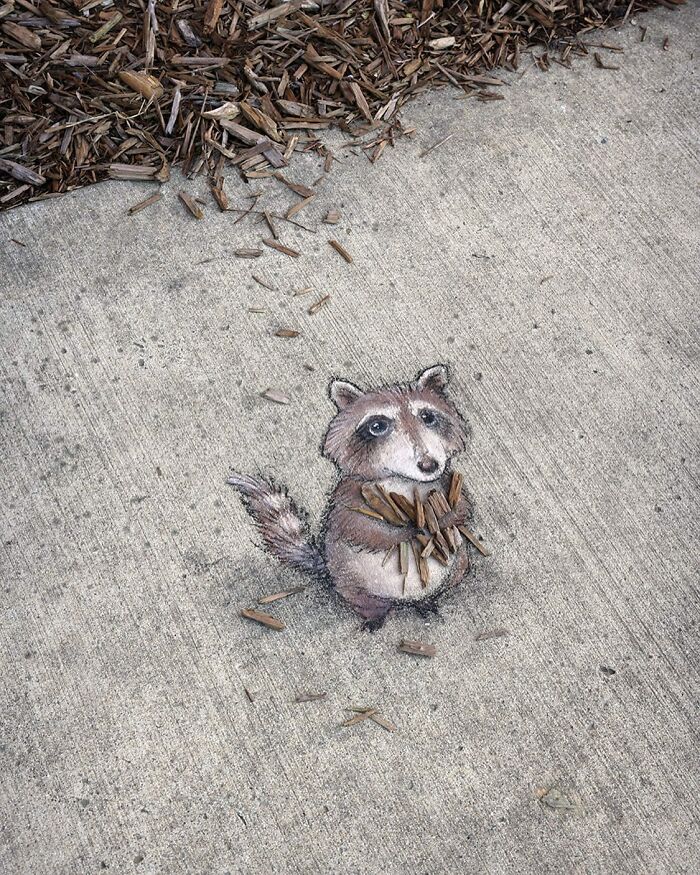 The Ephemeral Art Of Chalk. David Zinn Extracts Life From The Streets And Walls (New Pics)