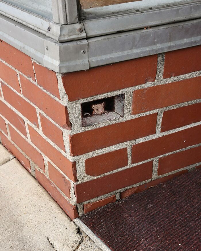 The Ephemeral Art Of Chalk. David Zinn Extracts Life From The Streets And Walls (New Pics)