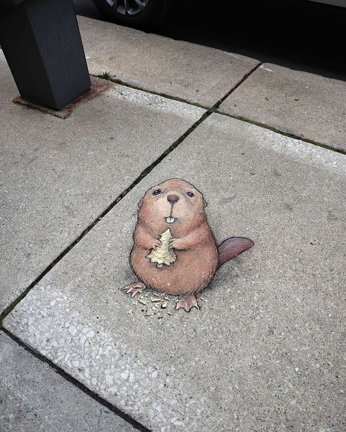 The Ephemeral Art Of Chalk. David Zinn Extracts Life From The Streets And Walls (New Pics)